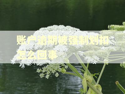 账户逾期被强制划扣怎么回事