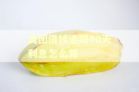美团借钱逾期40天利息怎么算