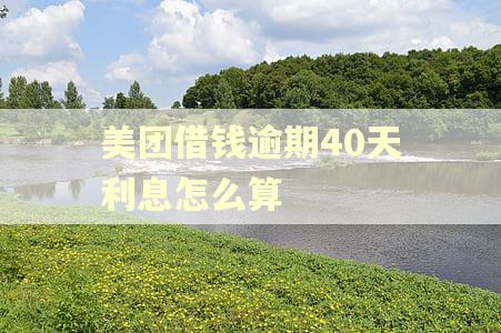 美团借钱逾期40天利息怎么算 美团借钱逾期40天利息怎么算