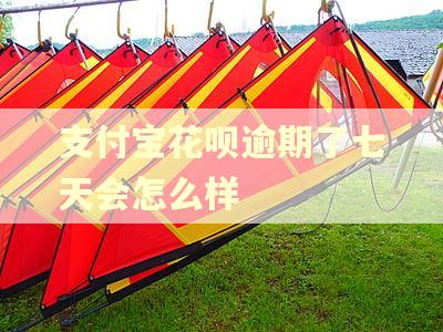支付宝花呗逾期了七天会怎么样 支付宝花呗逾期了七天会怎么样
