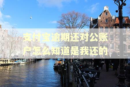 支付宝逾期还对公账户怎么知道是我还的