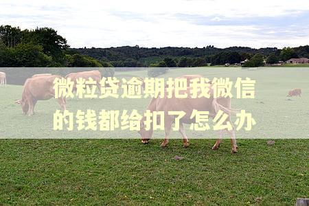 微粒贷逾期把我微信的钱都给扣了怎么办