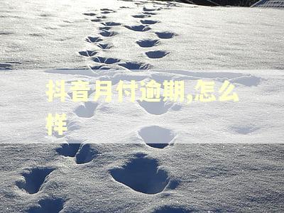 抖音月付逾期,怎么样 抖音月付逾期,怎么样