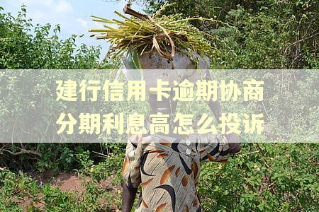 建行信用卡逾期协商分期利息高怎么投诉