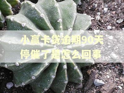小赢卡贷逾期90天停催了是怎么回事
