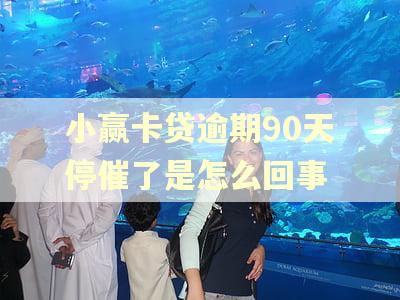 小赢卡贷逾期90天停催了是怎么回事 小赢卡贷逾期90天停催了是怎么回事