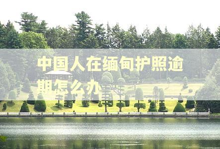 中国人在缅甸护照逾期怎么办