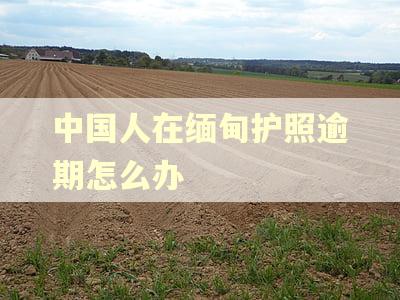 中国人在缅甸护照逾期怎么办 中国人在缅甸护照逾期怎么办
