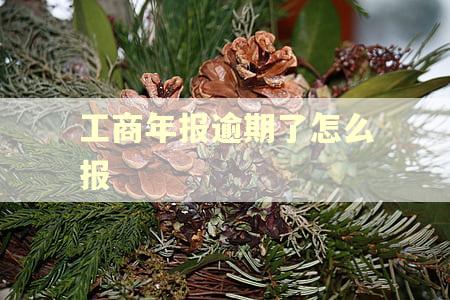 工商年报逾期了怎么报