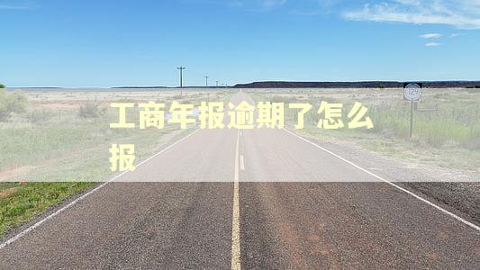 工商年报逾期了怎么报
