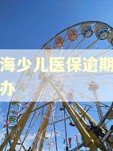 上海少儿医保逾期怎么办
