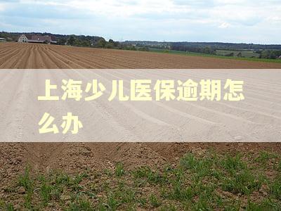 上海少儿医保逾期怎么办