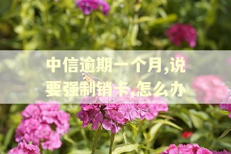 中信逾期一个月,说要强制销卡,怎么办