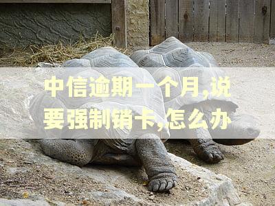 中信逾期一个月,说要强制销卡,怎么办