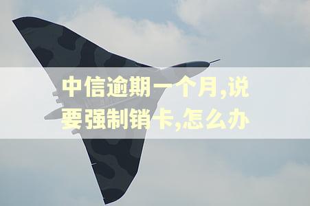 中信逾期一个月,说要强制销卡,怎么办 中信逾期一个月,说要强制销卡,怎么办