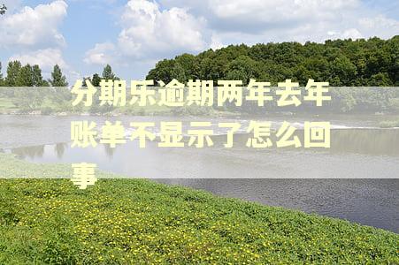 分期乐逾期两年去年账单不显示了怎么回事