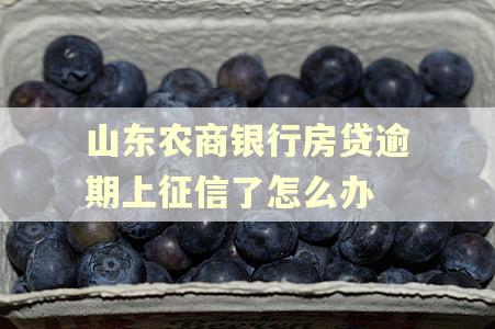 山东农商银行房贷逾期上征信了怎么办