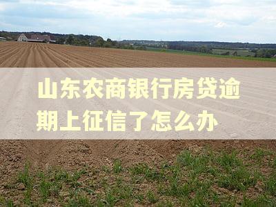 山东农商银行房贷逾期上征信了怎么办