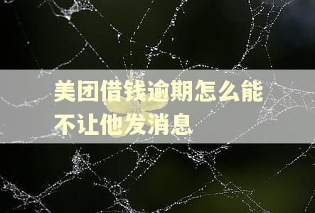 美团借钱逾期怎么能不让他发消息
