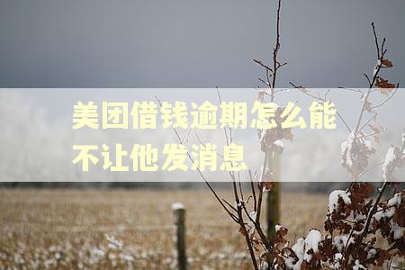 美团借钱逾期怎么能不让他发消息
