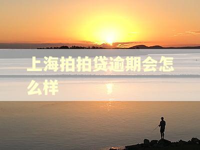 上海拍拍贷逾期会怎么样