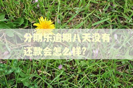 分期乐逾期八天没有还款会怎么样?