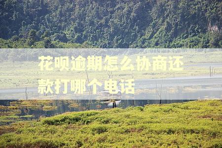 花呗逾期怎么协商还款打哪个电话