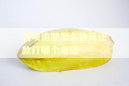 花呗逾期怎么协商还款打哪个电话