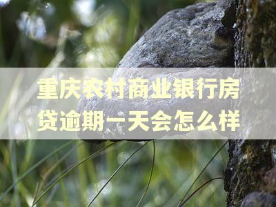 重庆农村商业银行房贷逾期一天会怎么样