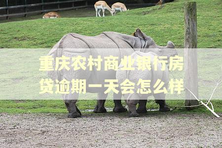重庆农村商业银行房贷逾期一天会怎么样