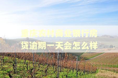重庆农村商业银行房贷逾期一天会怎么样