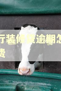 建行装修贷逾期怎么收费