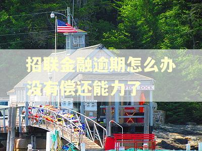 招联金融逾期怎么办没有偿还能力了