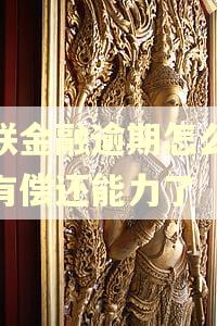 招联金融逾期怎么办没有偿还能力了