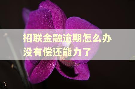 招联金融逾期怎么办没有偿还能力了
