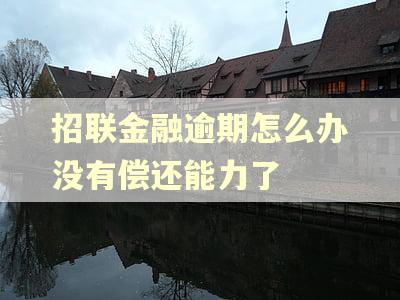 招联金融逾期怎么办没有偿还能力了