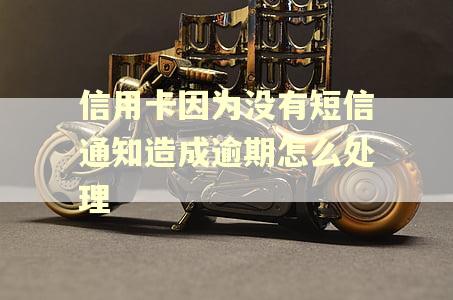 信用卡因为没有短信通知造成逾期怎么处理