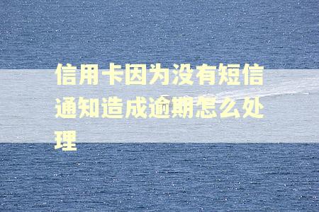 信用卡因为没有短信通知造成逾期怎么处理