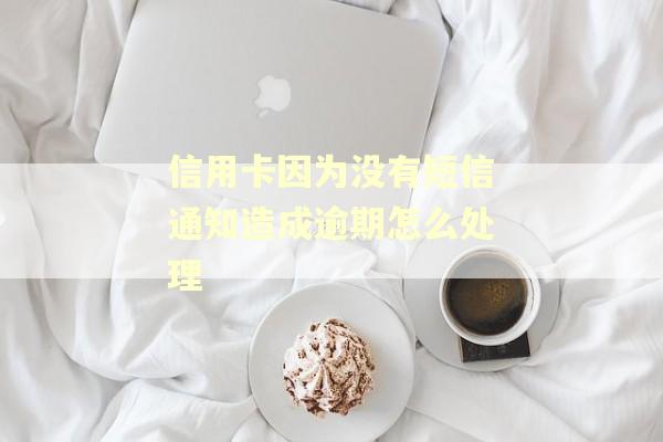信用卡因为没有短信通知造成逾期怎么处理