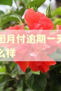 美团月付逾期一天会怎么样