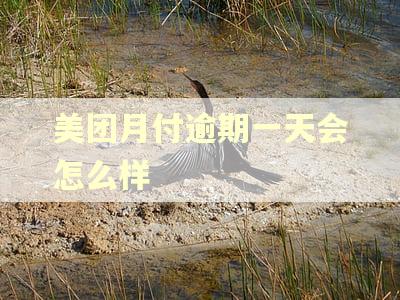 美团月付逾期一天会怎么样 美团月付逾期一天会怎么样