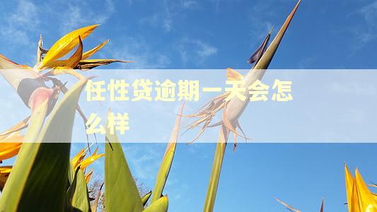 任性贷逾期一天会怎么样