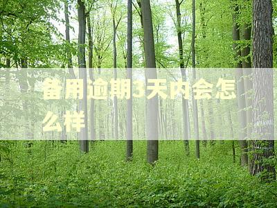 备用逾期3天内会怎么样 备用逾期3天内会怎么样