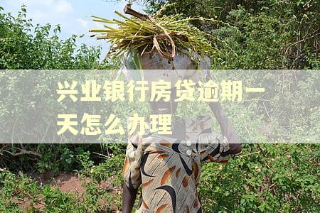 兴业银行房贷逾期一天怎么办理
