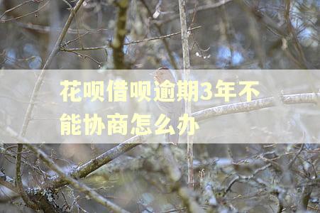 花呗借呗逾期3年不能协商怎么办