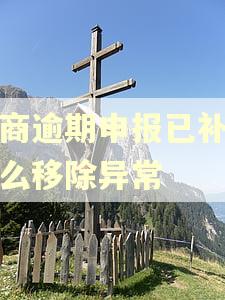 工商逾期申报已补报怎么移除异常 工商逾期申报已补报怎么移除异常