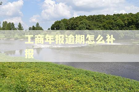 工商年报逾期怎么补报