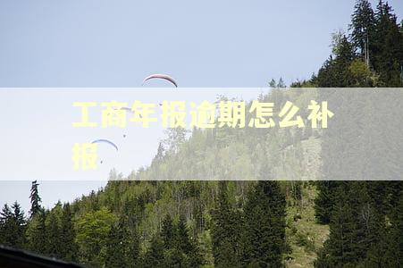 工商年报逾期怎么补报 工商年报逾期怎么补报
