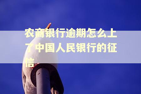 农商银行逾期怎么上了中国人民银行的征信
