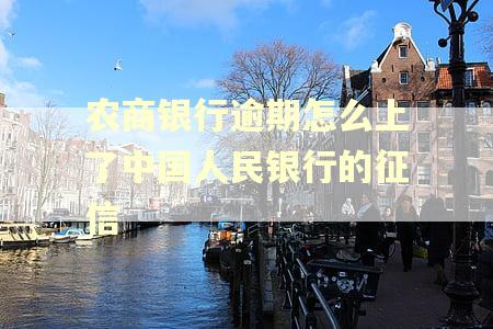农商银行逾期怎么上了中国人民银行的征信 农商银行逾期怎么上了中国人民银行的征信